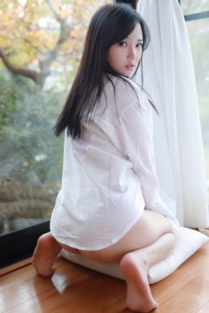 vip电影免费vip电视剧在线观看_BD国语免费观看